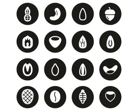 Healthy Snacks Or Nuts Icons White On Black Flat Design Circle Set Big Stock Illustration