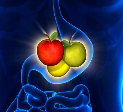 Healthy Stomach 스톡 일러스트