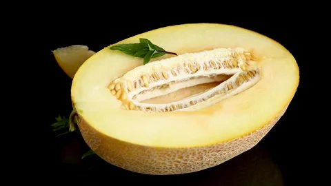 Healthy sweet melon slice with fresh basil on elegant dark background Stock Footage 342146932