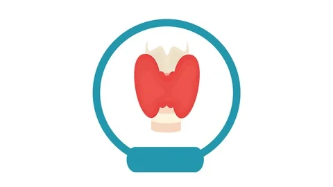 Healthy thyroid gland front view motion graphics Stock Footage 118291650