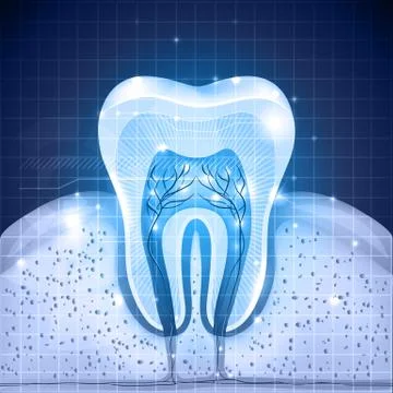 Healthy tooth close up Stock Illustration
