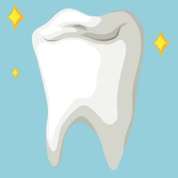 Healthy tooth in close up Stock Illustration