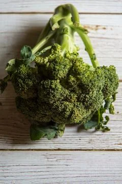 Healthy vegetable raw broccoli on a background. Stock Photos