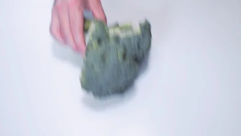 Healthy Vegetables Stock Footage 113221421