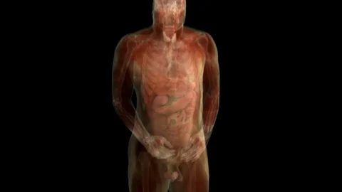 Healthy Vs. Damaged Intestinal Lining Stock Footage 113244324