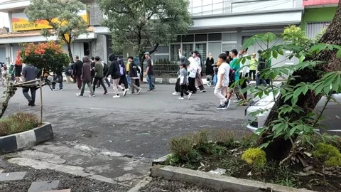 Healthy walking activity Stock Footage 209904932