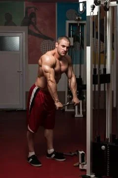 Healthy young man doing exercise for triceps Stock Photos