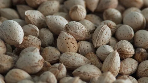 Heap Of Almond Nuts In Shell - Background Stock Footage 296840530