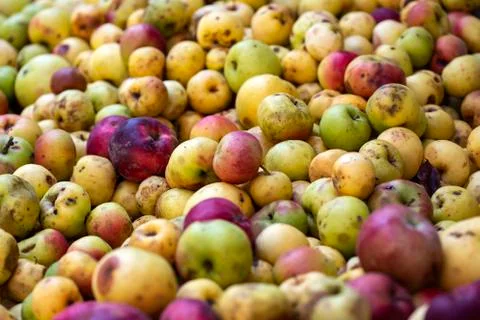 Heap of apples Stock Photos