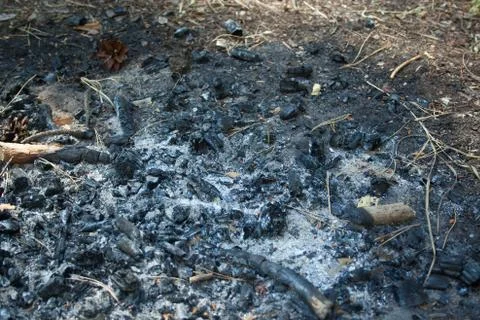 Heap of ash after the fire Stock Photos