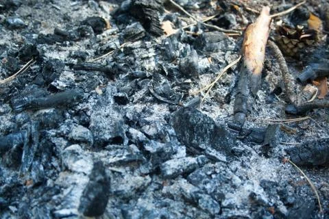 Heap of ash after the fire Stock Photos