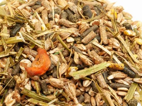 Heap of basic muesli  with herbs for horse. close up. nutrient equestrian con Stock Photos