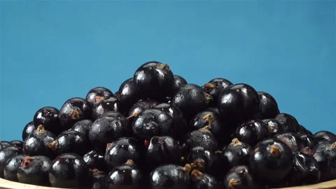 Heap of black currant berries Stock Footage 138797230