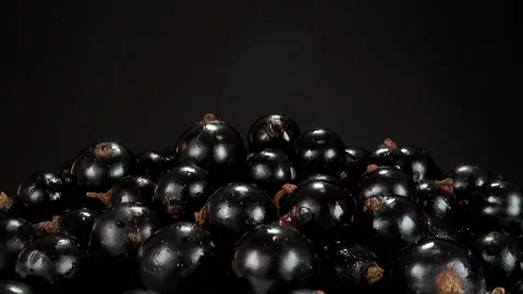 Heap of black currant Stock Footage 145436163