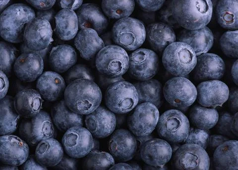 Heap of black currant Foto stock