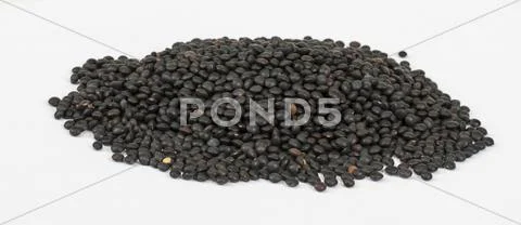 Heap of black lentil isolated on white Stock Photos