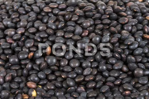 Heap of black lentil isolated on white Stock Photos