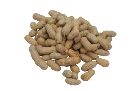 Heap boiled peanut. Stock Photos