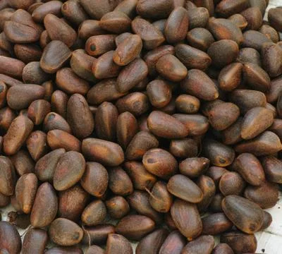 Heap of cedar nuts Stock Photos