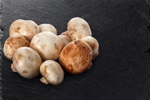 Heap of champignon Stock Photos