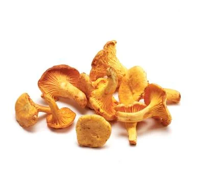 Heap of chanterelles on white. Stock Photos
