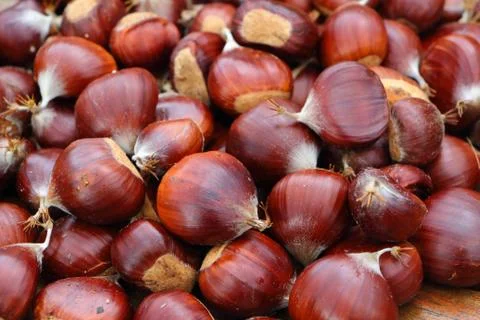Heap of chestnuts Stock Photos