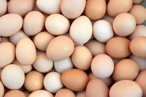 Heap of chicken eggs Stock Photos
