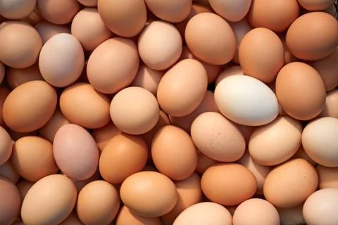 Heap of chicken eggs Foto stock