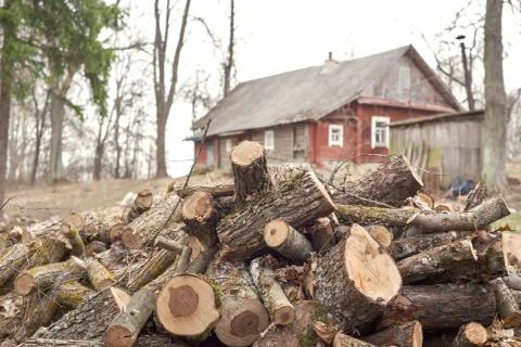 Heap of chopped logs Stock Photos