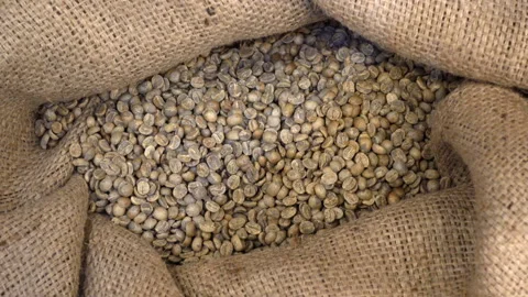 Heap of coffee beans in burlap. Stock Footage 116442409