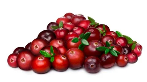 Heap of cranberry Stock Photos