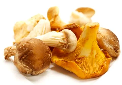 Heap of diffrent mushrooms Stock Photos