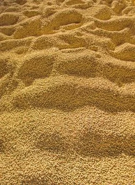 Heap of dried peas 写真素材