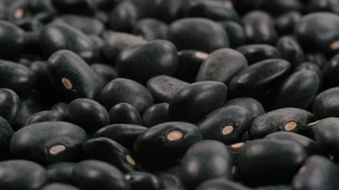 Heap of dried uncooked black bean seeds (black turtle beans). Slider shot. Stock Footage 296926593
