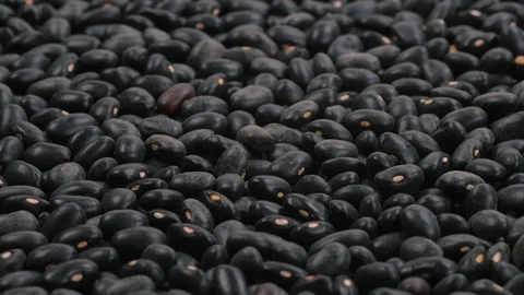 Heap of dried uncooked black bean seeds (black turtle beans). Slider shot. Stock Footage 297012385