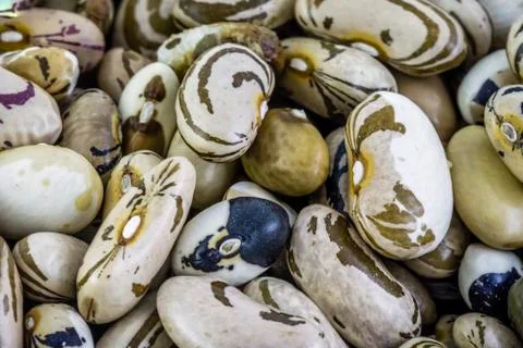 Heap of dry beans Stock Photos