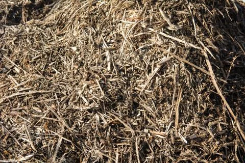 Heap of dry garbage, grass in spring Stock Photos
