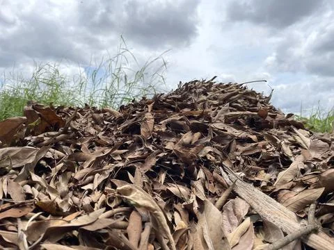 Heap of dry leaf trash on a cloudy sky background Stock Photos
