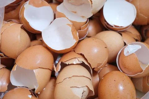 Heap of eggs shell Stock Photos