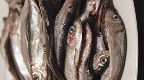 Heap fish Vídeos de archivo 1060551