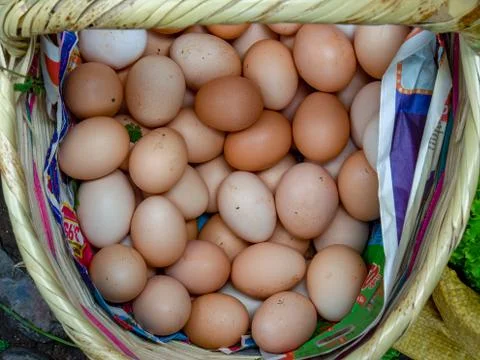 A heap of free-range eggs inside a traditional basket, photographed at the lo Stock-Fotos