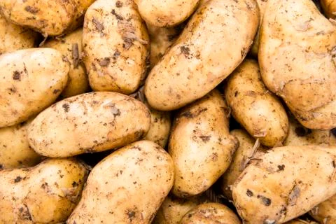 Heap of freh potatoes Stock Photos