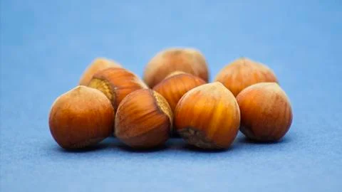 Heap of fresh hazelnuts on light blue background with soft defocus Stock Photos