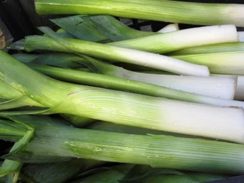 Heap of fresh leeks  Stock Photos