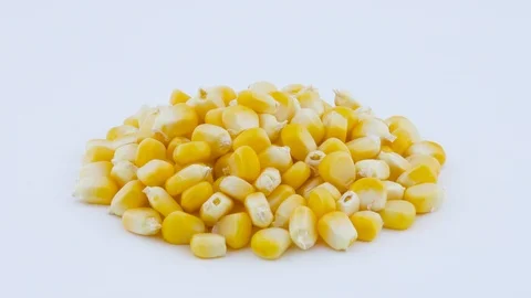 Heap of fresh sweet corn kernels. Rotating on the turntable. Isolated on the Stock Footage 92921146