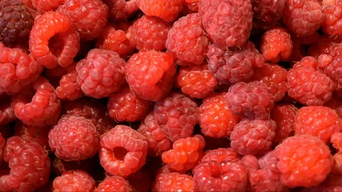 Heap of fresh tasty raspberry as textured background, top view, rotation Stock Footage 149693792