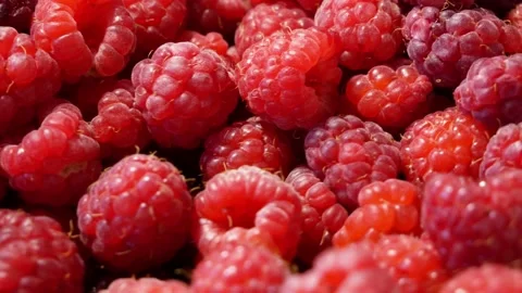 Heap of fresh tasty raspberry as textured background, top view Stock Footage 170660320