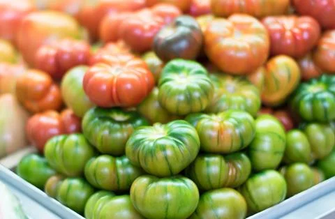 Heap of fresh tomatoes. Stock Photos