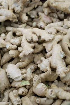 Heap of ginger root. Ginger root Stock Photos