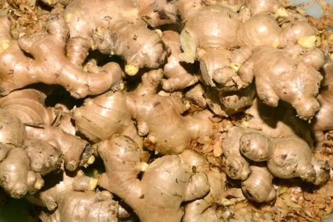 Heap of ginger root at the market Foto stock